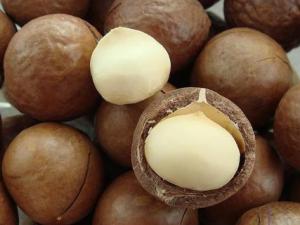 夏威夷果怎么開？吃夏威果的注意事項