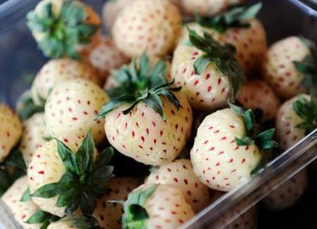 ���}ݮ�����Xһ�������}ݮ����xُ