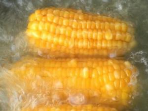 玉米一般要煮多久？玉米煮多久才能熟