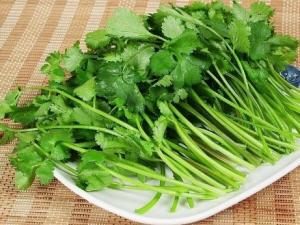 香菜怎么保存時間更長?香菜保鮮的方法