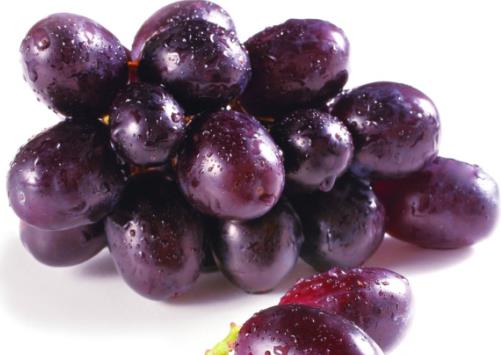 ������x�������ӣ�ʲô�ӵ���������