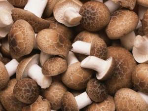 如何挑選新鮮的香菇?香菇的選購技巧