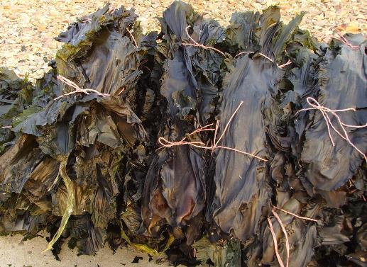 ������x�ɺ������ɺ��������x����