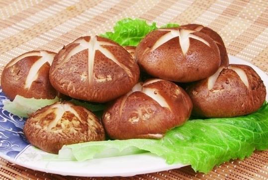 ������x�㹽�����x�㹽��С�[�T