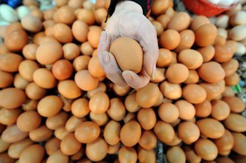 �I�u����С�[�T-�I�u����ע�����