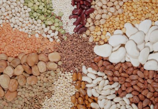 ����xُ���ʳƷ���xُ���ʳƷ��ע�����