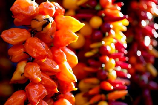 ������x��������������ʲô�ӵ���������