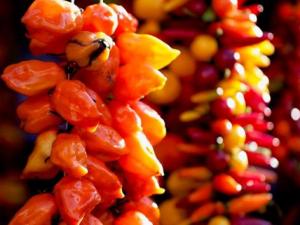 如何挑選到最辣的辣椒？什么樣的辣椒最辣