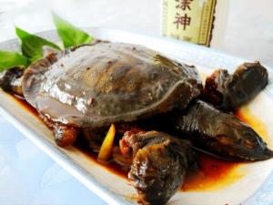 甲魚怎么做好吃？甲魚的做法與技巧