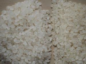 怎樣區(qū)分新米和陳米?如何辨別大米的質(zhì)量