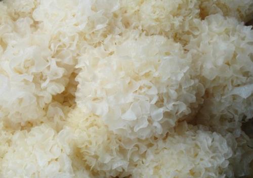 ����b�e�y�����|(zh��)�����������x��(y��u)�|(zh��)���y��