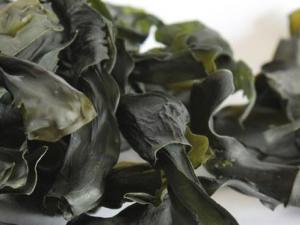 干海帶能存放多久?干海帶能長(zhǎng)期存放嗎