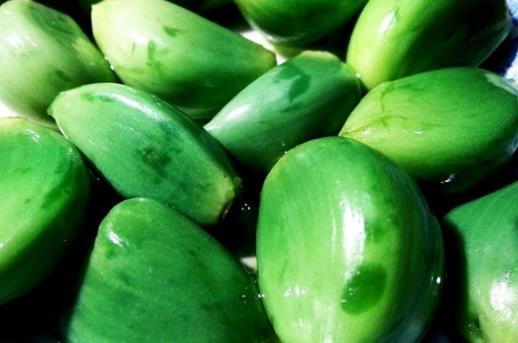 �������D���⣿�D��������Ʒ���