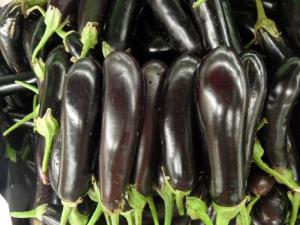 如何挑選新鮮茄子?茄子的挑選方法