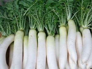 怎么挑選白蘿卜?白蘿卜的挑選方法