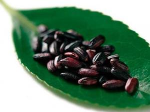 如何鑒別紫米的真假?紫米和黑米的區(qū)別