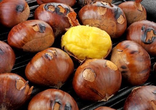 ������ôȥƤ������ȥƤ����