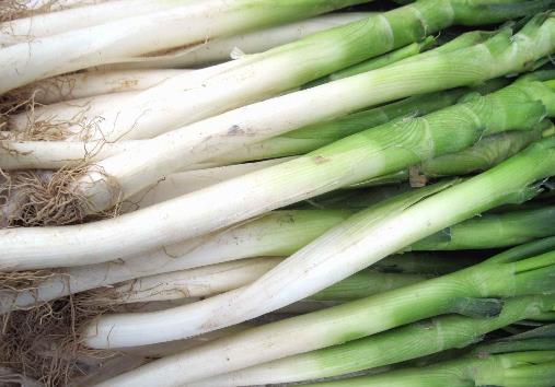 �������Ӄ�(ch��)����[�����[�ă�(ch��)�淽��