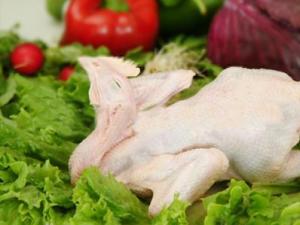 如何鑒別鮮雞和冰鮮雞?怎么挑選鮮雞