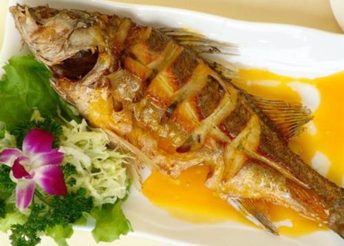 ������~�I�B(y��ng)�ֺóԣ����~�I�B(y��ng)��ζ����С�[�T