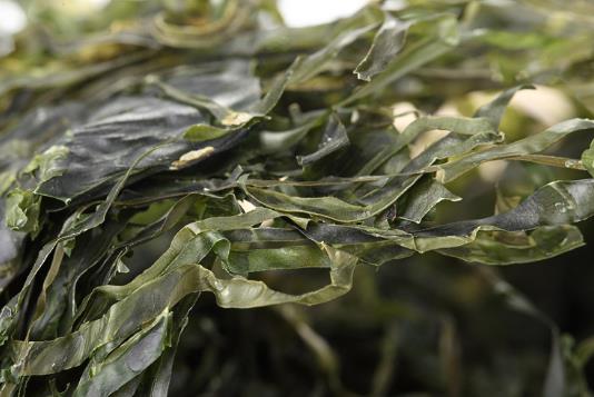 �ɺ����ݰl(f��)���ɺ���Ҫ�ݶ���������ݰl(f��)�ɺ���