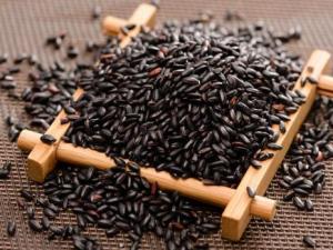 怎么鑒別黑米的真假?如何辨別黑米的真假