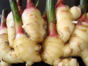 如何挑選新鮮的生姜?怎么辨別姜的好壞