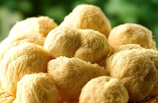 ����ݰl(f��)���^�������^�����ݰl(f��)С�[�T