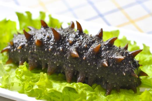 �����R(sh��)�e������٣���α�e�����ĺÉ�