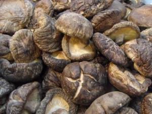 如何選購干香菇?干香菇的挑選方法