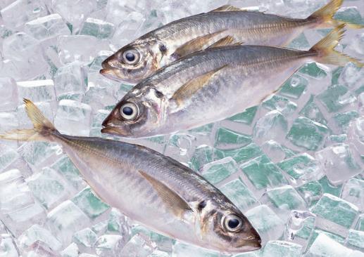 �����xُ(g��u)�ك�ʳƷ��ُ(g��u)�I(m��i)�ك�ʳƷ��ע�����(xi��ng)