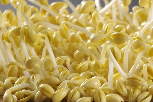 �����R�e���ʶ�ѿ�����ʶ�ѿ��ʲô����