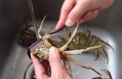 螃蟹怎么清洗最干凈?螃蟹的清洗方法