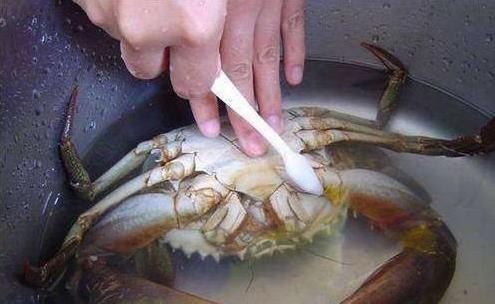 螃蟹怎么清洗最干凈?螃蟹的清洗方法