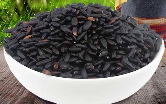 怎么鑒別黑米的真假?如何辨別黑米的真假