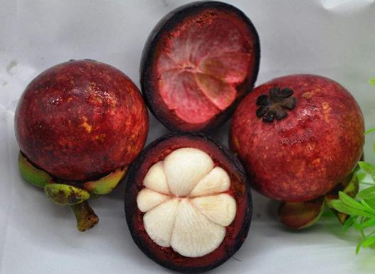 山竹里面黃黃的是什么 山竹里面黃黃的能吃嗎 山竹果肉發(fā)黃有毒嗎