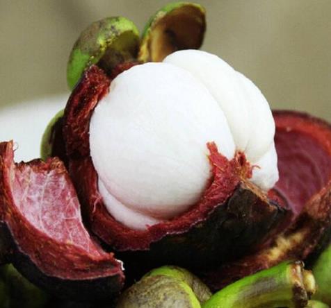 山竹里面黃黃的是什么 山竹里面黃黃的能吃嗎 山竹果肉發(fā)黃有毒嗎