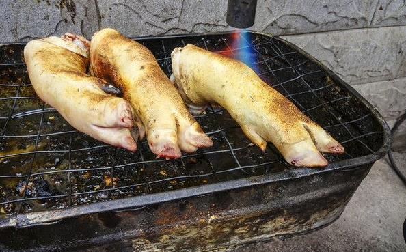 豬蹄如何去毛?怎么去除豬蹄上的毛