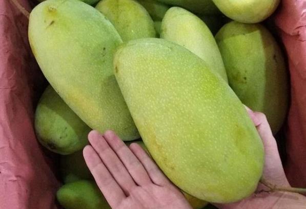 ����â��Ӳ����ֱ�ӳԆ� ��ô��e��â����]�� ������â������