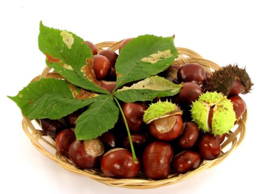 板栗如何保存才能放得久?剝板栗的實用小技巧