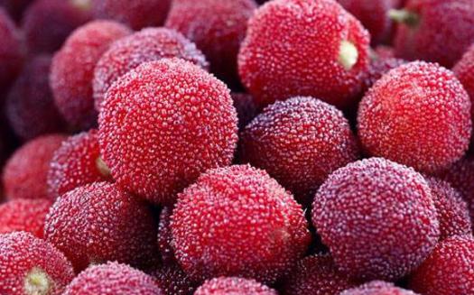 洗過的楊梅可以放進冰箱保鮮嗎?楊梅的正確清洗方法步驟