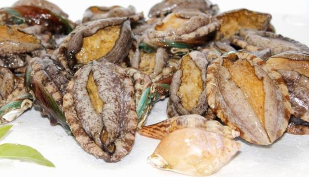 鮑魚的清洗方法是什么 鮑魚如何挑選及保存 鮑魚的營養價值