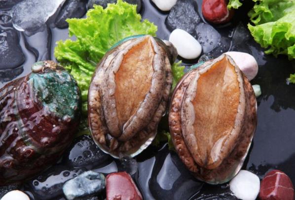 鮑魚的清洗方法是什么 鮑魚如何挑選及保存 鮑魚的營養價值