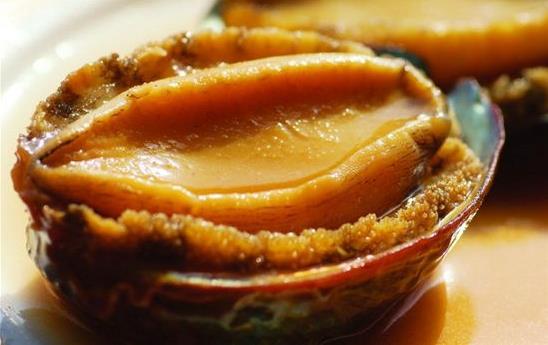 鮑魚的清洗方法是什么 鮑魚如何挑選及保存 鮑魚的營養價值