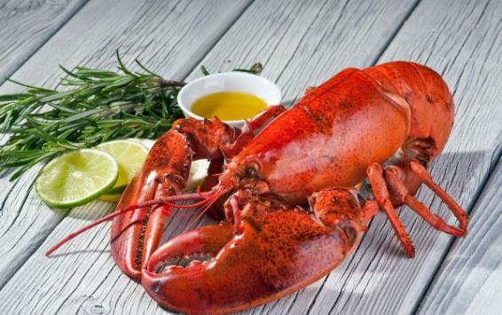 大龍蝦怎么殺操作圖 大龍蝦宰殺清洗步驟圖解