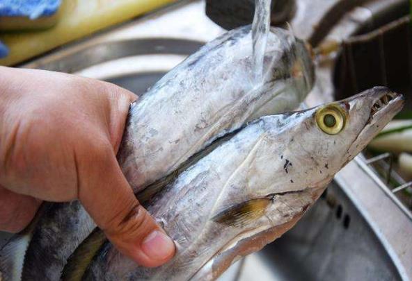 帶魚怎么清洗簡單又干凈?帶魚內臟清洗步驟