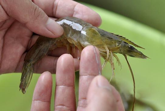 ȥ�r�����ķ��� �r����ο���ȥ���D���v��