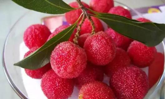 洗過的楊梅可以放進冰箱保鮮嗎?楊梅的正確清洗方法步驟