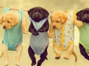 霧霾天能曬衣服嗎?霧霾天注意事項(xiàng)