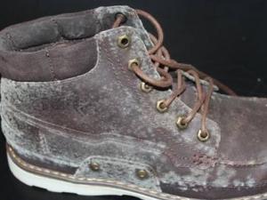 ����A��ƤЬ�lù��ƤЬ�lù��ԓ��ô�k��